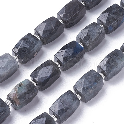 Natural Labradorite Beads Strands G-L499-01-1