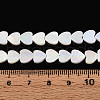 Electroplated Natural Freshwater Shell Beads Strands SSHEL-T017-30-4