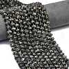 Natural Larvikite Beads Strands G-P573-A54-01-1