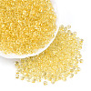 3/0 Baking Paint Glass Fringe Seed Beads SEED-A034-04A-3
