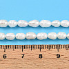 Natural Cultured Freshwater Pearl Beads Strands PEAR-N012-03R-01-6