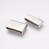 304 Stainless Steel Magnetic Clasps with Glue-in Ends STAS-K145-19P-4