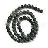 Natural Green Moss Stone Round Bead Strands G-P070-49-6mm-5