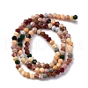 Handmade Lampwork Beads Strands LAMP-R020-02D-2