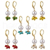 5Pair Brass Round Leverback Earrings EJEW-JE06367-2