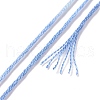 10 Skeins 6-Ply Polyester Embroidery Floss OCOR-K006-A70-3
