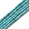 Natural Howlite Beads Strands G-C025-10B-1