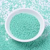 MIYUKI Delica Beads SEED-X0054-DB2122-1