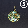 Natural Abalone Shell/Paua Shell Pendants PW-WG52198-05-1