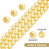   2 Strands Electroplated Shell Pearl Beads Strands BSHE-PH0001-32B-2
