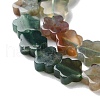 Natural Indian Agate Beads Strands G-B138-C04-01-4