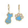 304 Stainless Steel Leverback Earrings for Women EJEW-MZ00406-02-2