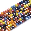 Electroplate Glass Beads Strands EGLA-S192-001A-B04-1