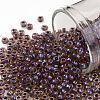 TOHO Round Seed Beads X-SEED-TR08-0927-1