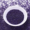MIYUKI Delica Beads X-SEED-J020-DB0609-2