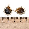 Natural Tiger Eye Faceted Pendants G-K347-06G-01-3