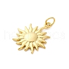 304 Stainless Steel Pendants STAS-U049-02A-01G-2