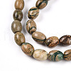 Natural Verdite Stone Beads Strands G-N346-02B-06-4