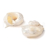 Natural Sea Shell Pendants SSHEL-C013-03-2