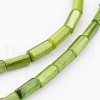 Natural Shell Bead Strands X-BSHE-P016-16-3