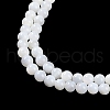 Natural Cultured Freshwater Shell Beads Strands BSHE-H109-03A-4