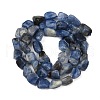 Natural Kyanite Beads Strands G-Q060-E17-3