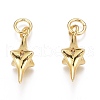 Brass Micro Pave Clear Cubic Zirconia Pendants ZIRC-O035-20G-1