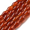 Natural Carnelian Beads Strands G-A223-C09-01-2
