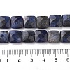 Natural Sodalite Beads Strands G-K359-B07-01-5