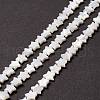 Natural Trochid Shell/Trochus Shell Beads SSHEL-O001-25B-02-2