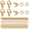 GOMAKERER 304 Stainless Steel Bead Tips & Open Jump Ring & Lobster Claw Clasps Findings Kits DIY-GO0002-20G-1