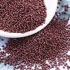 MIYUKI Round Rocailles Beads SEED-G007-RR1089-1
