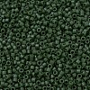 MIYUKI Delica Beads SEED-X0054-DB0797-2
