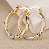 Twist Brass Hoop Earrings FS-WGA1A3A-01-1