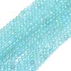 Natural Apatite Beads Strands G-E411-27B-3mm-1