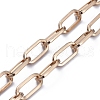 Iron Paperclip Chains Bag Straps AJEW-BA00001-3