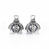 Tibetan Style Alloy Charms PALLOY-S120-249F-RS-2