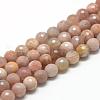 Natural Sunstone Beads Strands G-R447-10mm-02-1