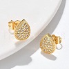 Brass Micro Pave Clear Cubic Zirconia Stud Earrings EJEW-D305-06G-1