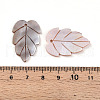 Natural Freshwater Shell Carved Pendants SHEL-N036-18-3