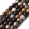Natural Mexico Crazy Agate Beads Strands G-L615-A01-01-8