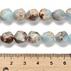 Dyed Natural Howlite Imitation Shoushan Stone Beads Strands G-G203-08F-5