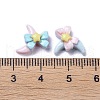 Opaque Cute Resin Decoden Cabochons RESI-B024-03G-3