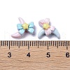 Opaque Cute Resin Decoden Cabochons RESI-B024-03G-3