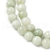 Natural Xiuyan Jade Beads Strands G-Z085-A01-10mm-4