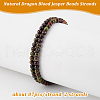 Olycraft 2 Strands Natural Dragon Blood Jasper Beads Strands G-OC0005-09-4