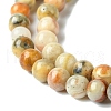 Natural Crazy Lace Agate Round Bead Strands G-E334-4mm-20-4