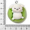 Flocking Resin Sleeping Pendants RESI-D072-02D-3