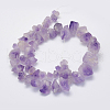 Natural Amethyst Beads Strands G-G697-D06-2