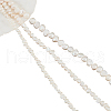  3 Strands 3 Styles Natural Cultured Freshwater Pearl Beads Strands PEAR-NB0002-09-7